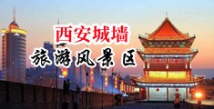 大鸡巴操我逼逼中国陕西-西安城墙旅游风景区